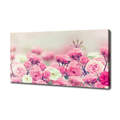 Quadro stampa su tela Fiori di rosa selvatica