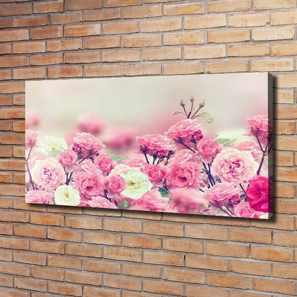 Quadro stampa su tela Fiori di rosa selvatica