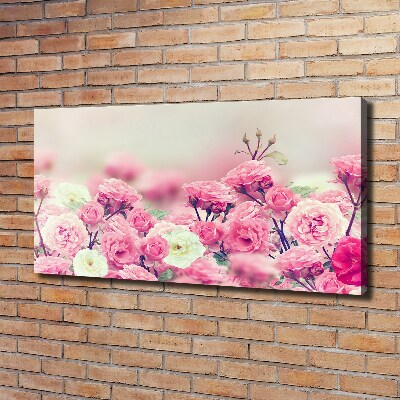Quadro stampa su tela Fiori di rosa selvatica