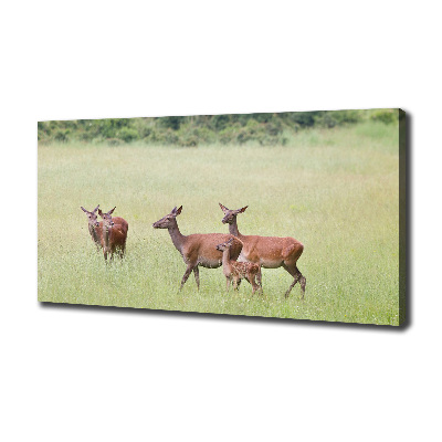 Foto quadro su tela Capriolo con i piccoli