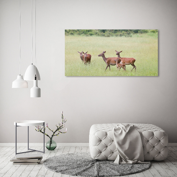 Foto quadro su tela Capriolo con i piccoli