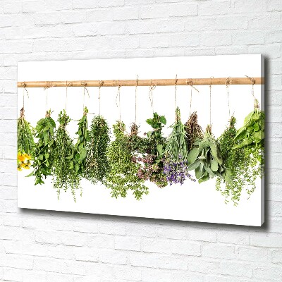 Quadro su tela Erbe aromatiche su un filo