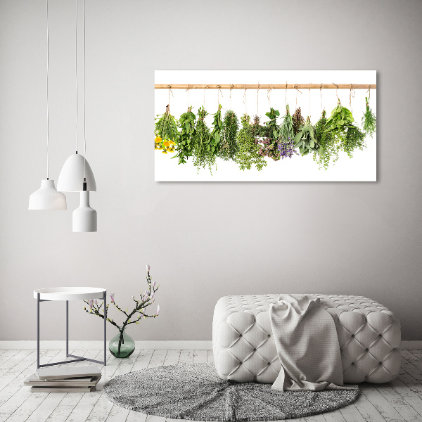 Quadro su tela Erbe aromatiche su un filo