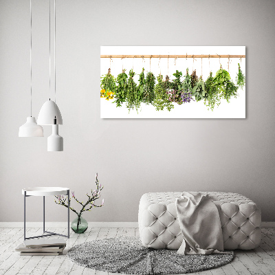 Quadro su tela Erbe aromatiche su un filo