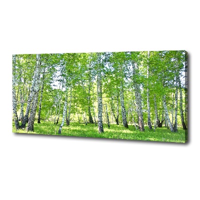 Quadro su tela Betulle