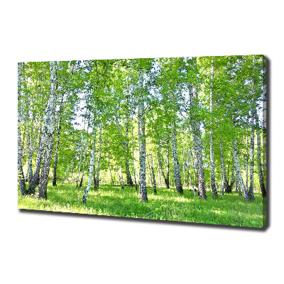 Quadro su tela Betulle