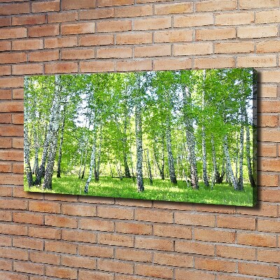 Quadro su tela Betulle