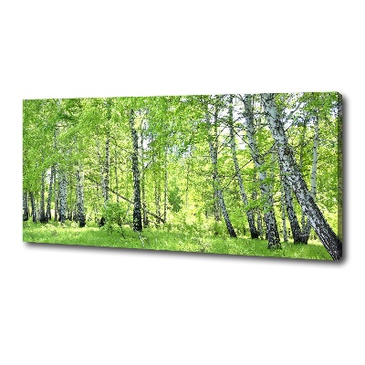 Foto quadro su tela Foresta di betulle
