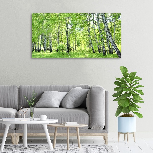 Foto quadro su tela Foresta di betulle