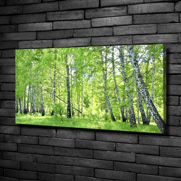 Foto quadro su tela Foresta di betulle