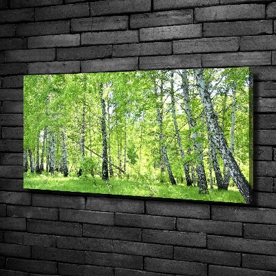 Foto quadro su tela Foresta di betulle