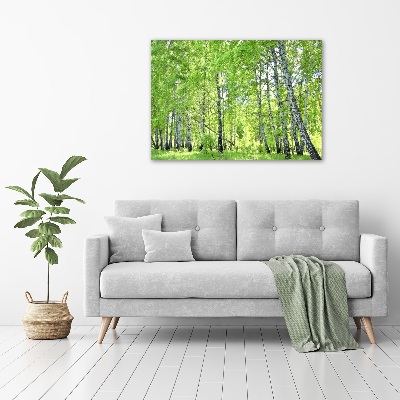 Foto quadro su tela Foresta di betulle