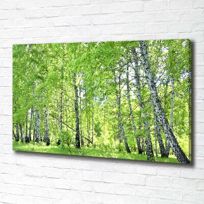 Foto quadro su tela Foresta di betulle