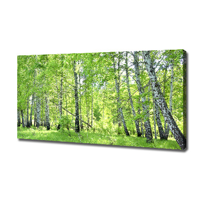 Foto quadro su tela Foresta di betulle