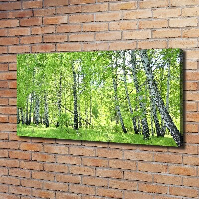 Foto quadro su tela Foresta di betulle