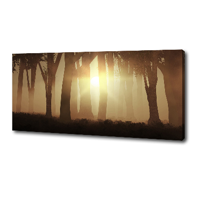 Foto quadro su tela Nebbia nella foresta