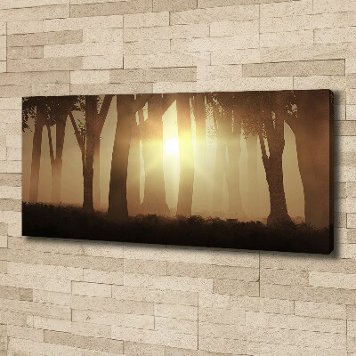 Foto quadro su tela Nebbia nella foresta