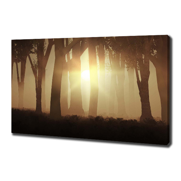 Foto quadro su tela Nebbia nella foresta