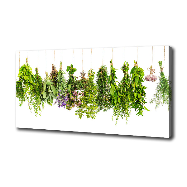Foto quadro su tela Erbe aromatiche su un filo