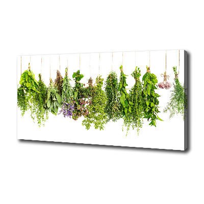 Foto quadro su tela Erbe aromatiche su un filo