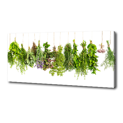 Foto quadro su tela Erbe aromatiche su un filo