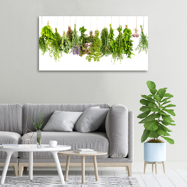 Foto quadro su tela Erbe aromatiche su un filo