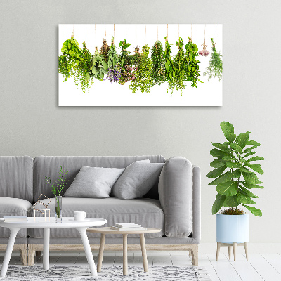 Foto quadro su tela Erbe aromatiche su un filo