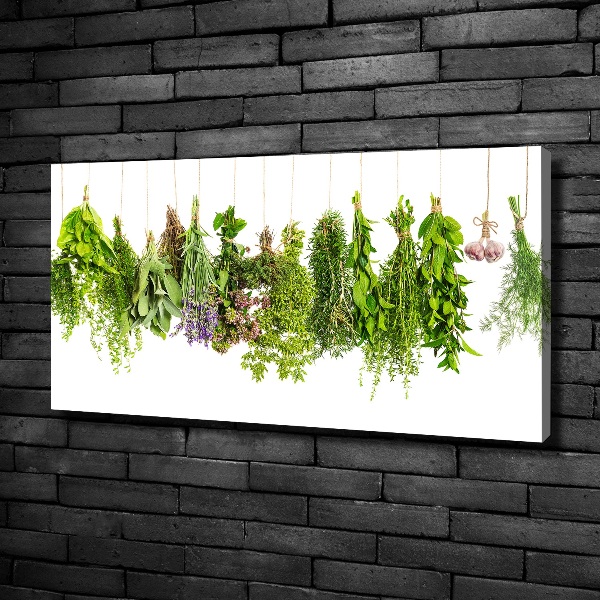 Foto quadro su tela Erbe aromatiche su un filo