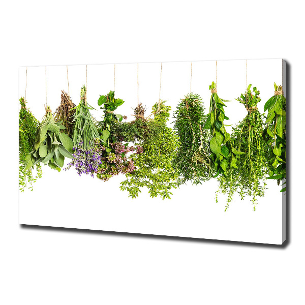 Foto quadro su tela Erbe aromatiche su un filo