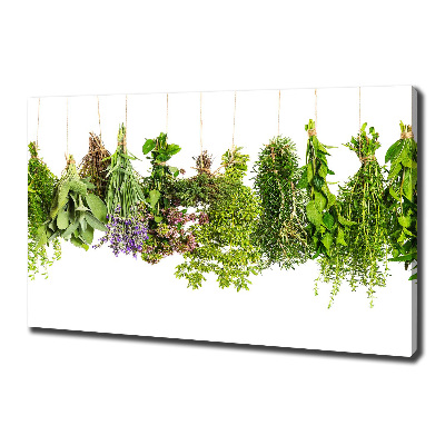 Foto quadro su tela Erbe aromatiche su un filo