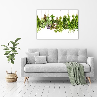 Foto quadro su tela Erbe aromatiche su un filo
