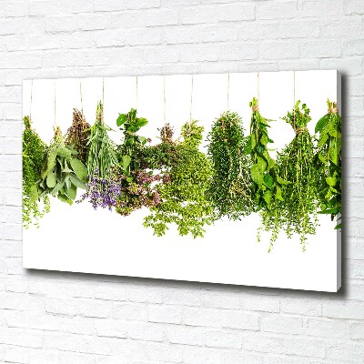 Foto quadro su tela Erbe aromatiche su un filo