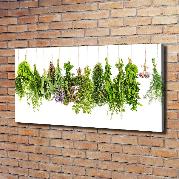 Foto quadro su tela Erbe aromatiche su un filo