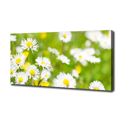 Quadro su tela Margherite