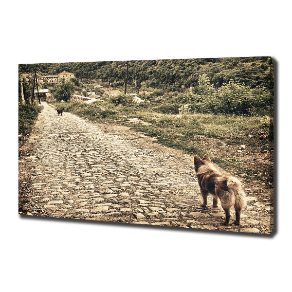 Quadro su tela Due cani su una collina