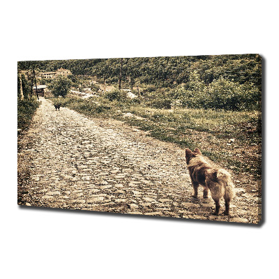 Quadro su tela Due cani su una collina