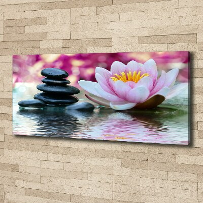 Foto quadro su tela Ninfea