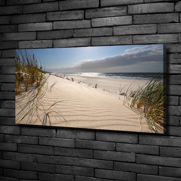 Foto quadro su tela Spiaggia di Mrzeżyno