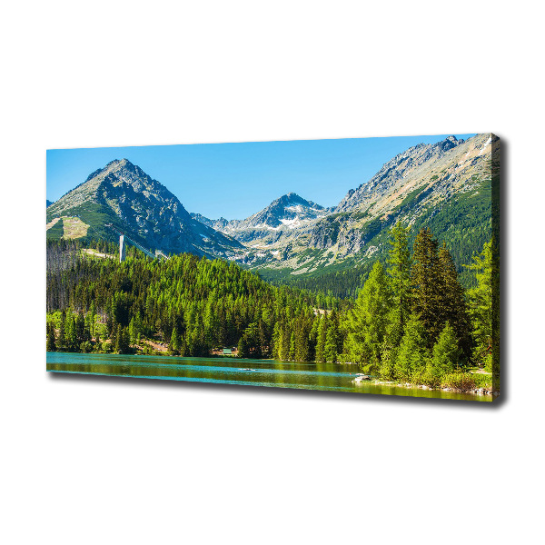 Quadro su tela Lago tra le montagne