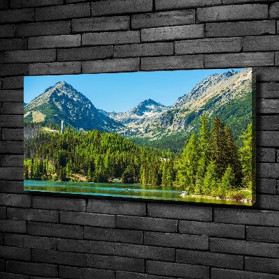 Quadro su tela Lago tra le montagne