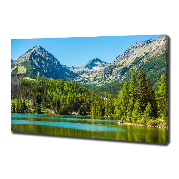 Quadro su tela Lago tra le montagne