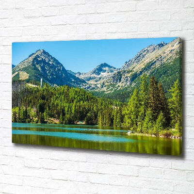 Quadro su tela Lago tra le montagne