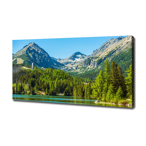 Quadro su tela Lago tra le montagne