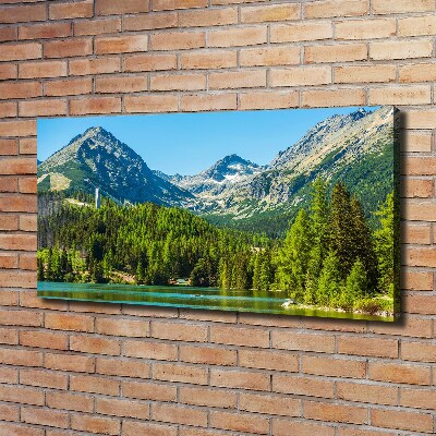 Quadro su tela Lago tra le montagne