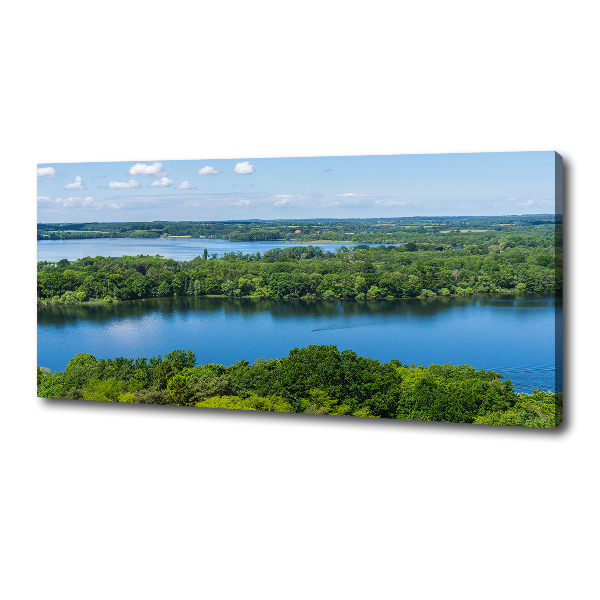 Quadro su tela Foresta in riva al lago