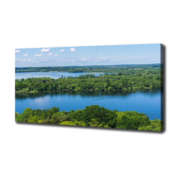 Quadro su tela Foresta in riva al lago