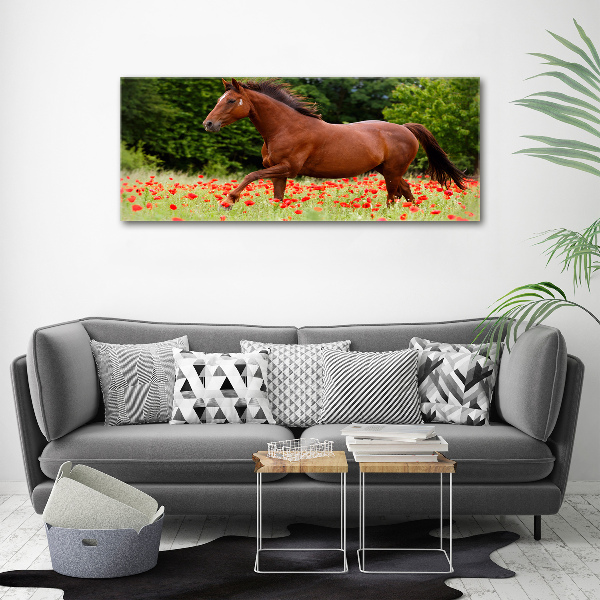 Foto quadro su tela Un cavallo in un campo di papaveri