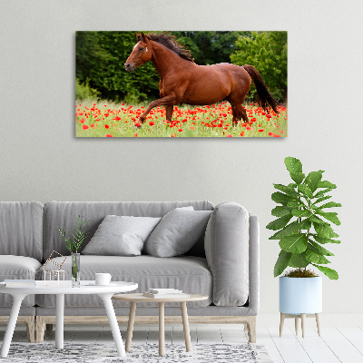 Foto quadro su tela Un cavallo in un campo di papaveri