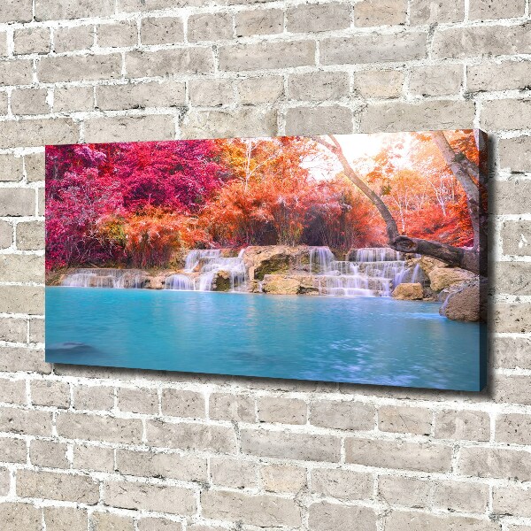 Foto quadro su tela Cascata nella foresta