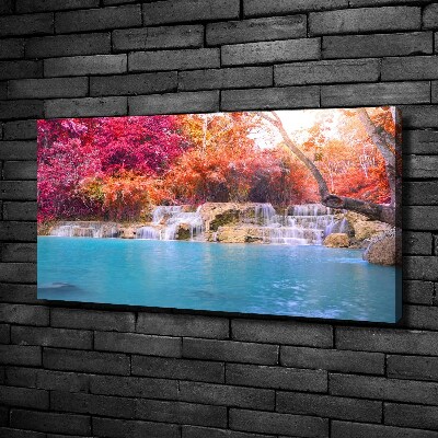 Foto quadro su tela Cascata nella foresta